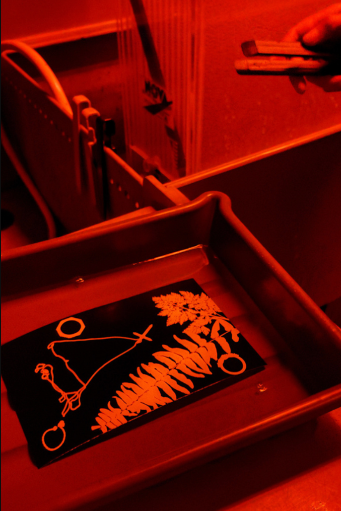The Darkroom Garden